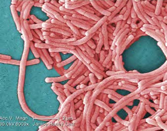 Viega Provides Tips for Preventing Waterborne Pathogens in Plumbing Systems